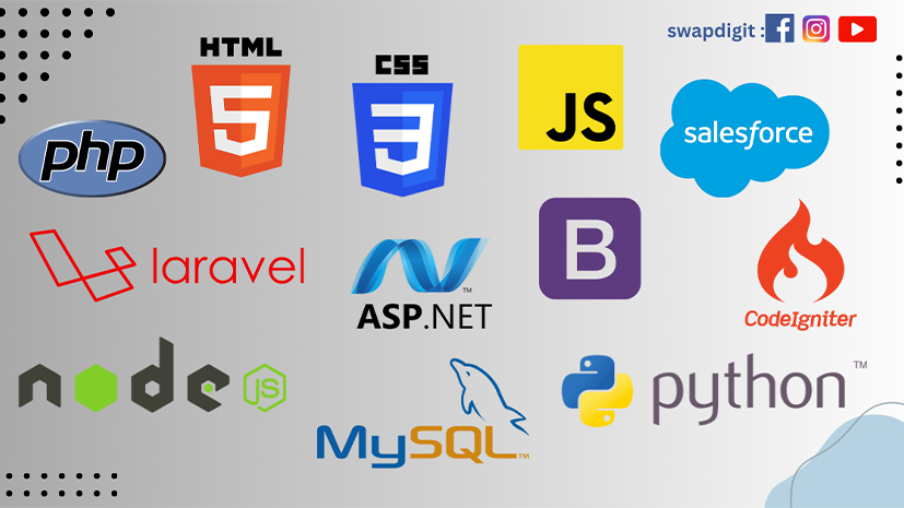 Python Course & Training